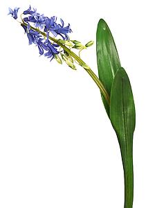 VARA JACINTO ARTIFICIAL 58CM 