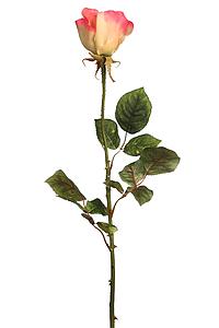 VARA DE CAPULLO DE ROSA 72CM