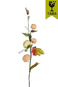 VARA FRUTA (CON TARA)