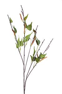 RAMAJE BIRCH 93 CM
