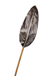 HOJA AVE DEL PARAISO 106 CM