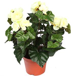 PLANTA DE BEGONIA ARTIFICIAL 28CM