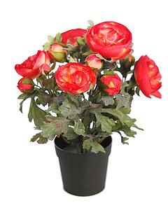 PLANTA DE RANUNCULOS ARTIFICIAL EN MACETA 30CM