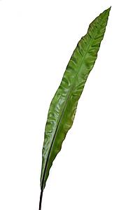HOJA ASPIDISTRA ARTIFICIAL 105CM