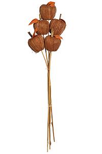 MANZANAS DE FIBRA SET X 5 48 CM