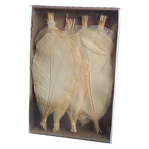 CAJA HOJAS ESQUELETOR 29CM