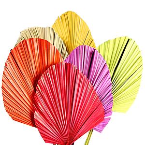 HOJA DE PALMA 5UD 85CM