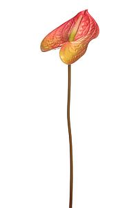 VARA ANTURIO ARTIFICIAL 60CM