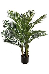 PALMERA ARECA 95CM