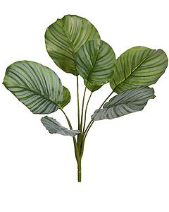 PLANTA CALATHEA ARTIFICIAL 46CM