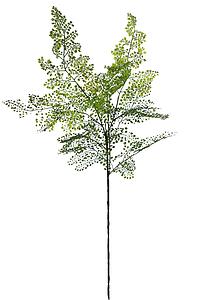 RAMAJE DICHONDRIA ARTIFICIAL 100CM