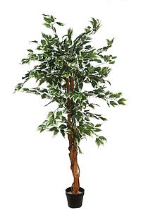 ARBOL DE FICUS BICOLOR ARTIFICIAL 