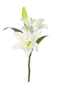 VARA LILIUM ARTIFICIAL