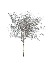 ATADO ESPARRAGUERA ARTIFICIAL 38CM