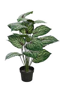 PLANTA CALADIUM VERDE EN MACETA ARTIFICIAL 65CM