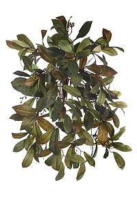 ENREDADERA LAUREL ARTIFICIAL 60CM