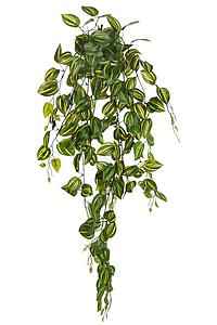 FITONIA COLGANTE ARTIFICIAL 90CM