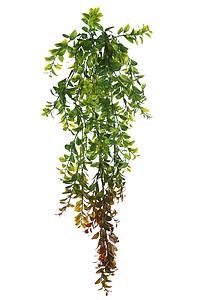 PLANTA EUCALIPTO ARTIFICIAL 80CM