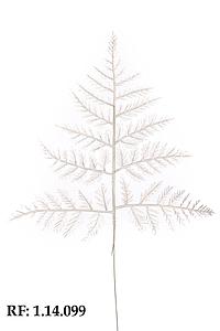 HELECHO TRANSPARENTE ALT.38 CM